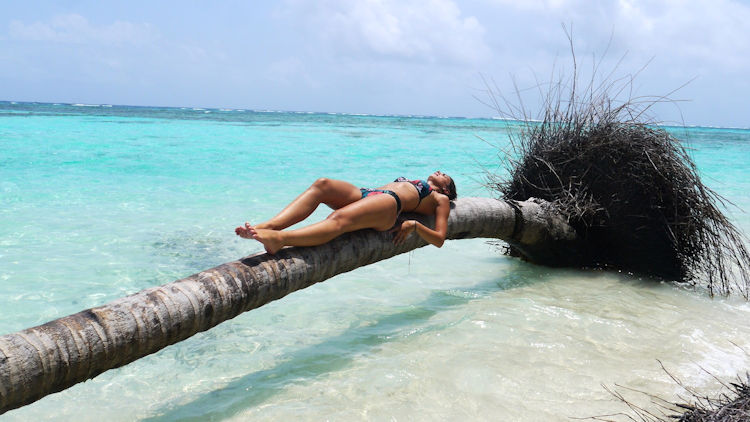 Catamaran Adventures